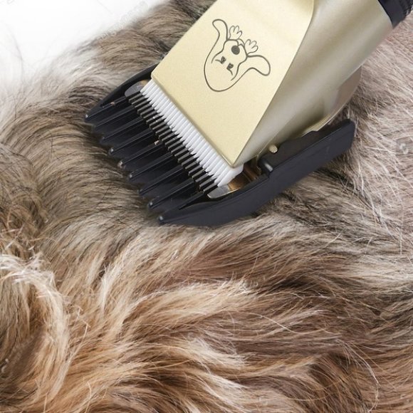 Pet Grooming Tool - Picture 5 of 6